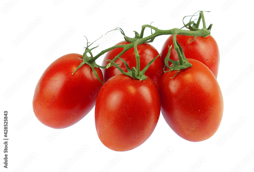 tomato isolated on white background tomato isolated on white background