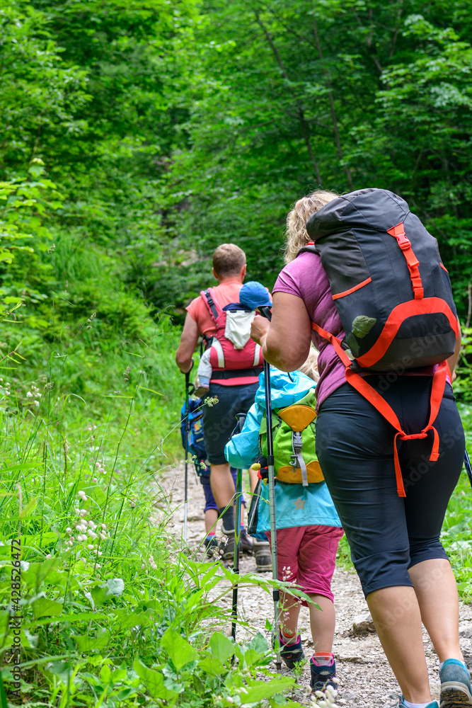 Junge Familie bei einer Wanderung im Wald Junge Familie bei einer Wanderung im Wald
