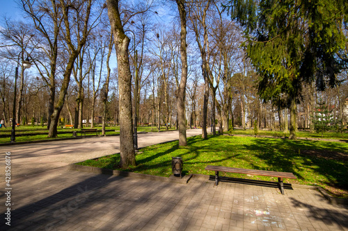 Fototapeta Naklejka Na Ścianę i Meble -  spring in the park