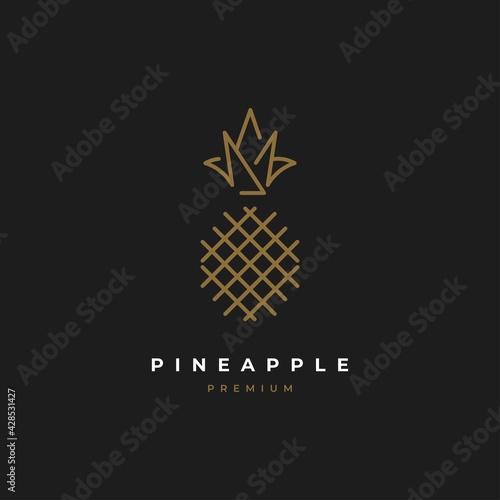 Pineapple logo design vector template