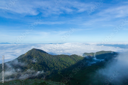 Mountain forest with white clouds or fog at morning time.