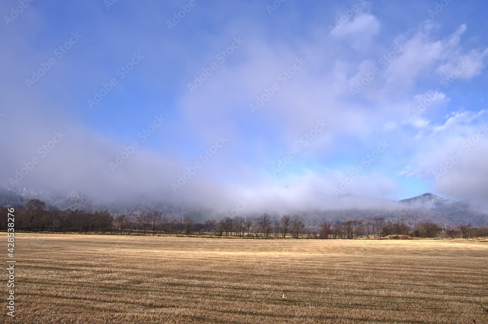 Obraz premium 空に雲が残る雨上がりの農地。