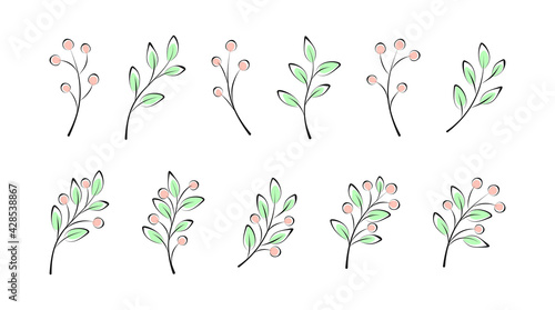 Set of spring and summer twigs, branches with leaves and berries on a white. Vector plant elements for design, decoration, sign, label, emblem, print for t-shirt, clothing and bags. Design template