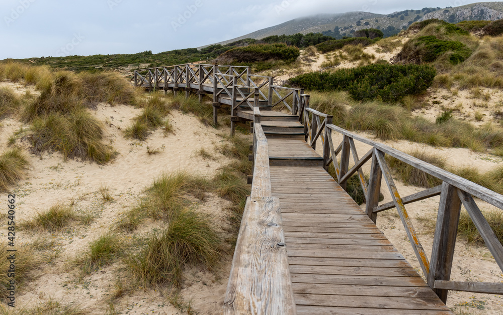 Wooden walkway over grass covered sand dunes to the beach of cala mesquida, mallorca