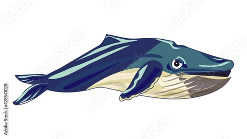 Marine whale icon animation