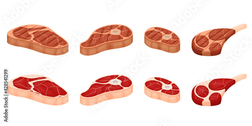 A set of pieces of meat. Fresh and grilled. Knuckle, shoulder blade, fat red meat. Pork, beef, lamb. Flat cartoon vector illustration isolated on a white background.