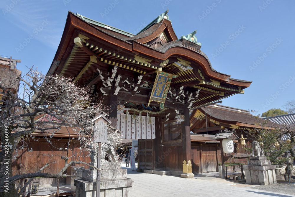 Fototapeta premium 北野天満宮 中門 京都市