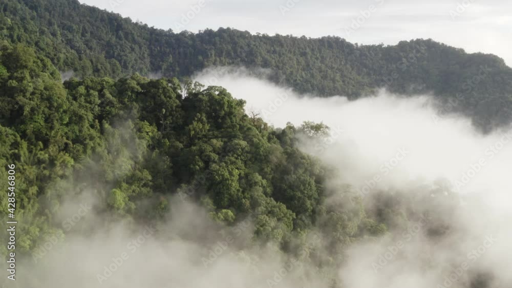 Aerial view of a rainforest in the lush green rain cloud cover tropical rain forest mountain during the rainy season in the northern Thailand.Doi phuka. Aerial view of a rainforest in the lush green rain cloud cover tropical rain forest mountain during the rainy season in the northern Thailand.Doi phuka.