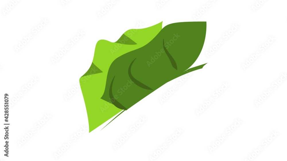 Tropical elephant ear leaf icon animation Tropical elephant ear leaf icon animation