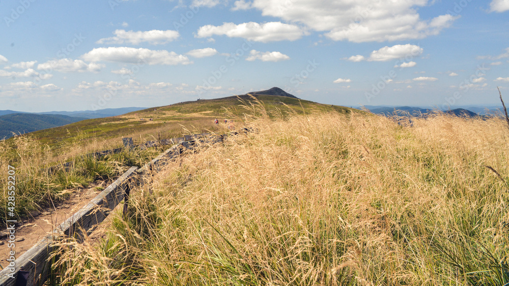 Fototapeta premium The mountains