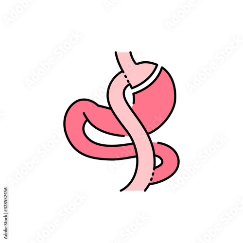 Gastric bypass Roux-en-Y olor line icon. Pictogram for web page, mobile app, promo.