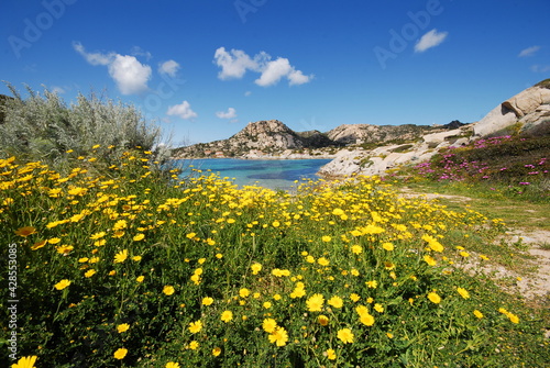 Primavera e fioriture in Sardegna