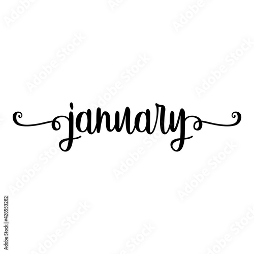 Banner con texto manuscrito january escrito a mano con florituras en color negro