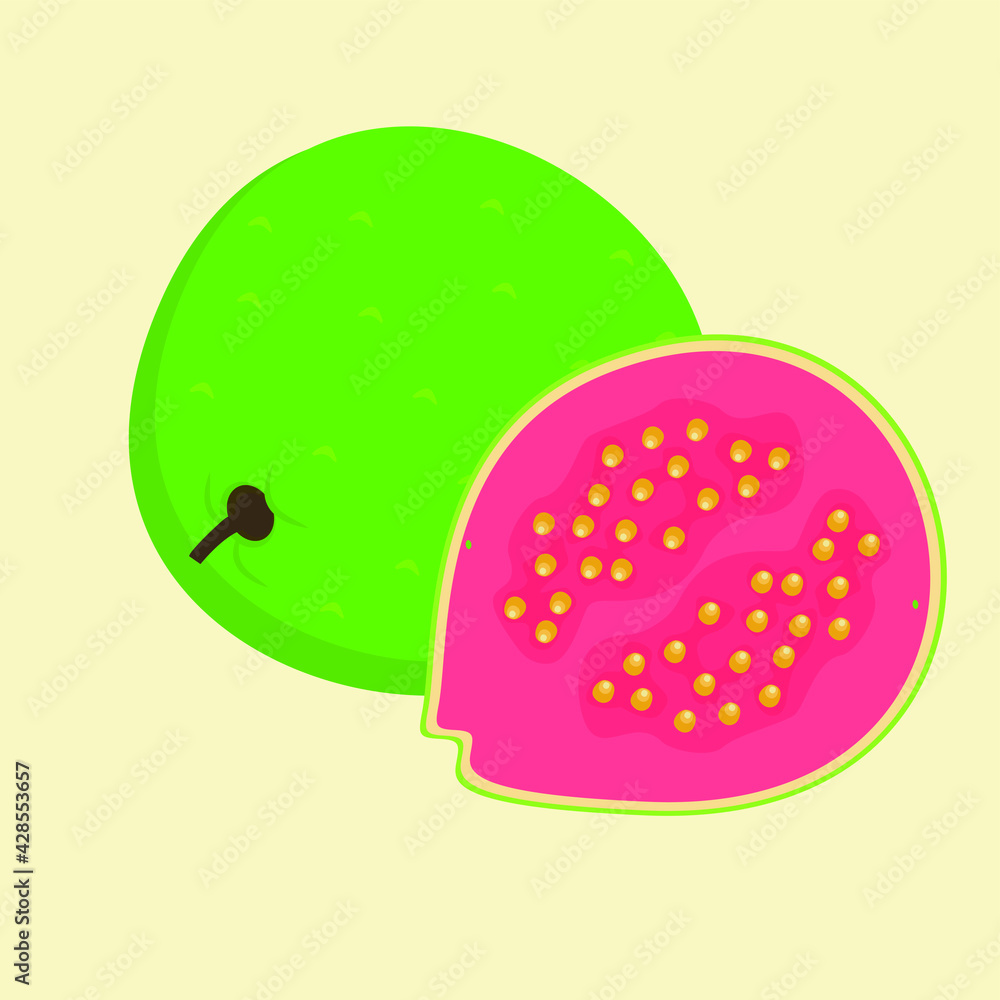 Vector illustration of isolated guava and guava slice 