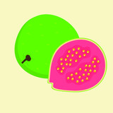 Vector illustration of isolated guava and guava slice 