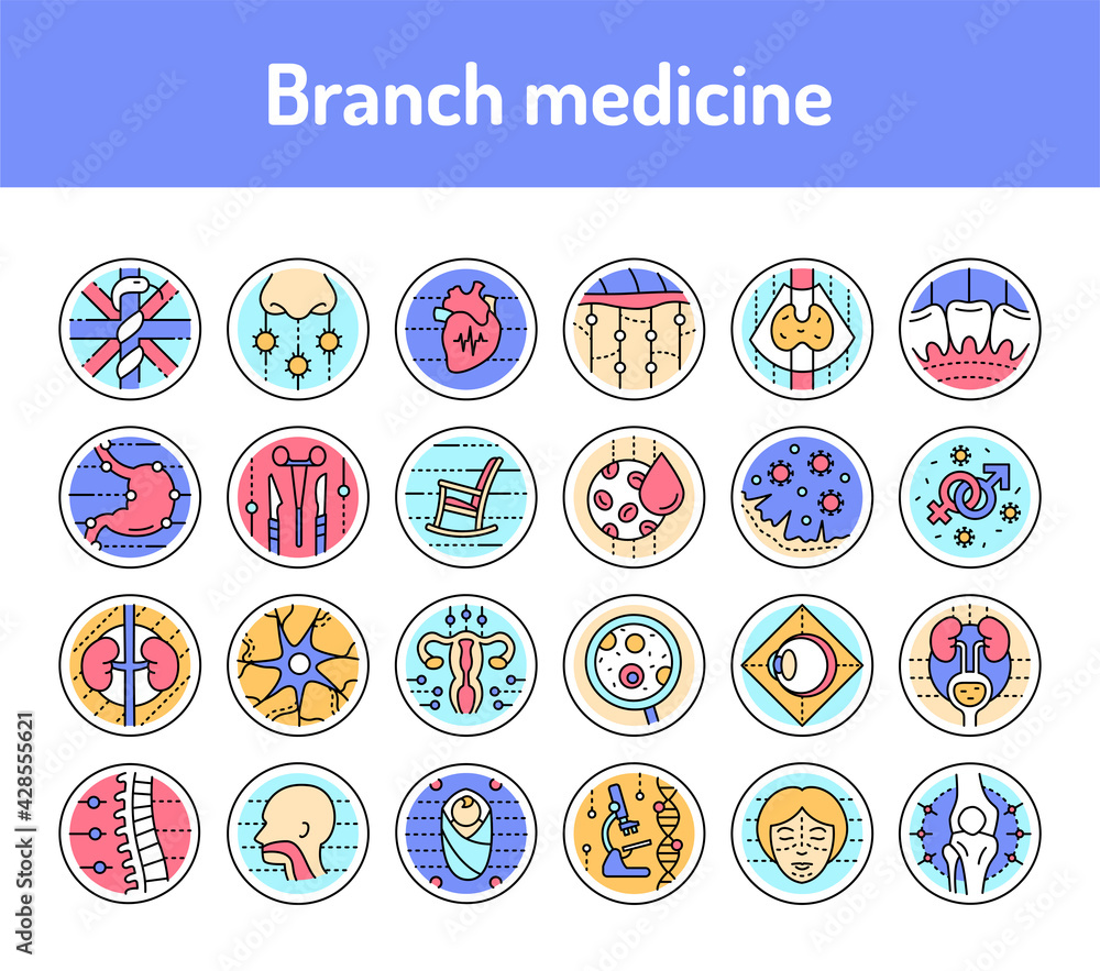 Branch medicine line icons set. Isolated vector element.