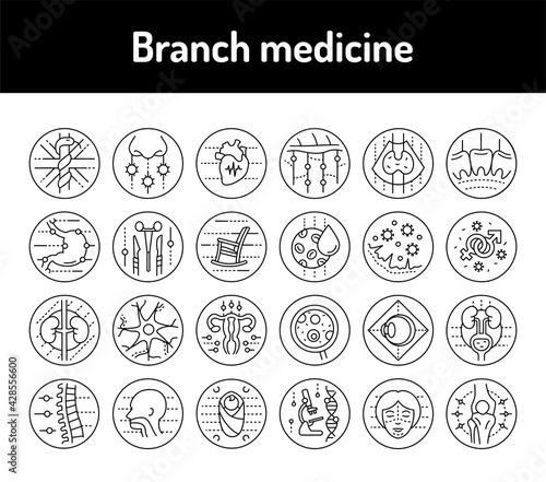 Branch medicine line icons set. Isolated vector element.