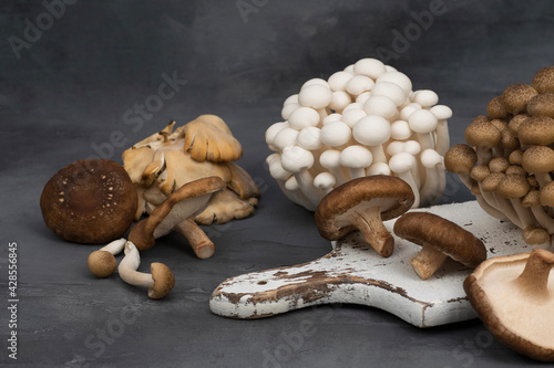 Variety of uncooked wild forest mushrooms isolated on gray background.