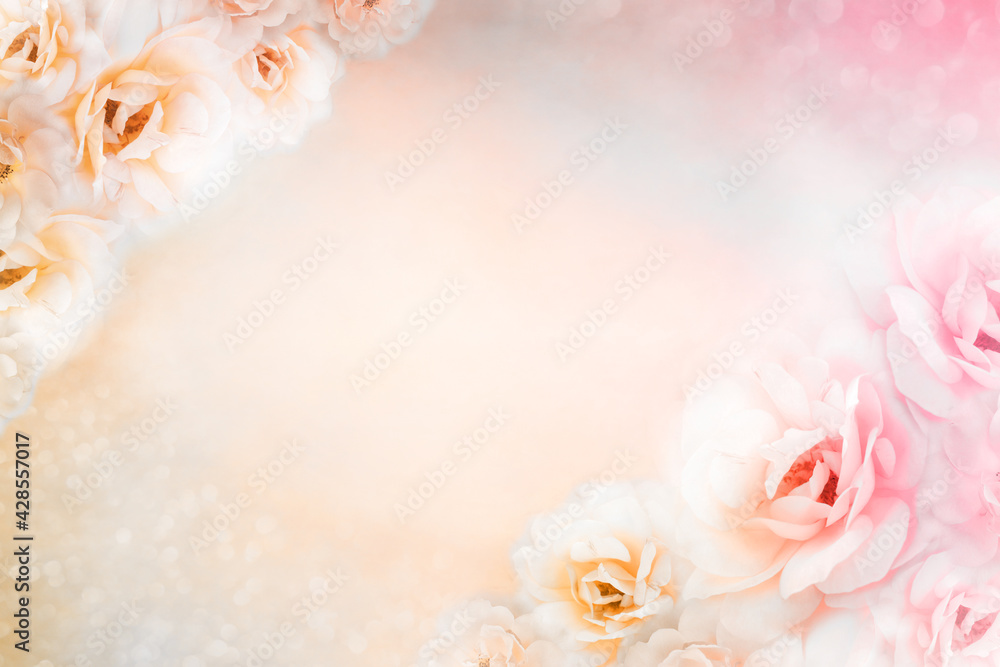 light pink and white rose floral border vintage background design for mother's day card 