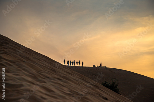 beautiful landscape of thar desert in rajasthan  india.