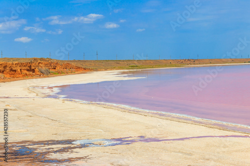 View of the pink salty Syvash lake in Kherson region  Ukraine
