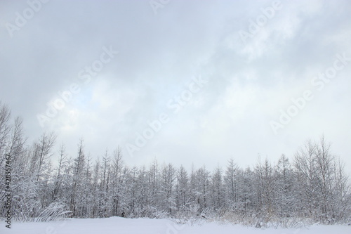 여행, 비에이, 일본, japan, Hokkaido, 눈, 쌓이다, 홋카이도, Hokkaido, winter, snow