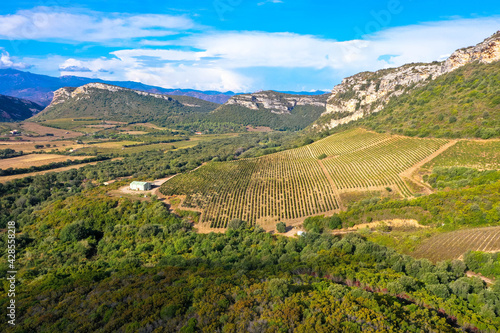 Aerial view from Grapes and Vineyards in the beautiful countryside of Patrimonio, Tourism and vacations concept. Corsica, France photo