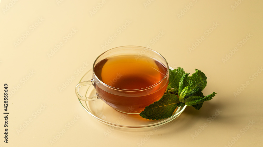 Organic Mentha tea in glass cup with mint bunch on beige background. Herbal tisane drink for health.Large image for banner