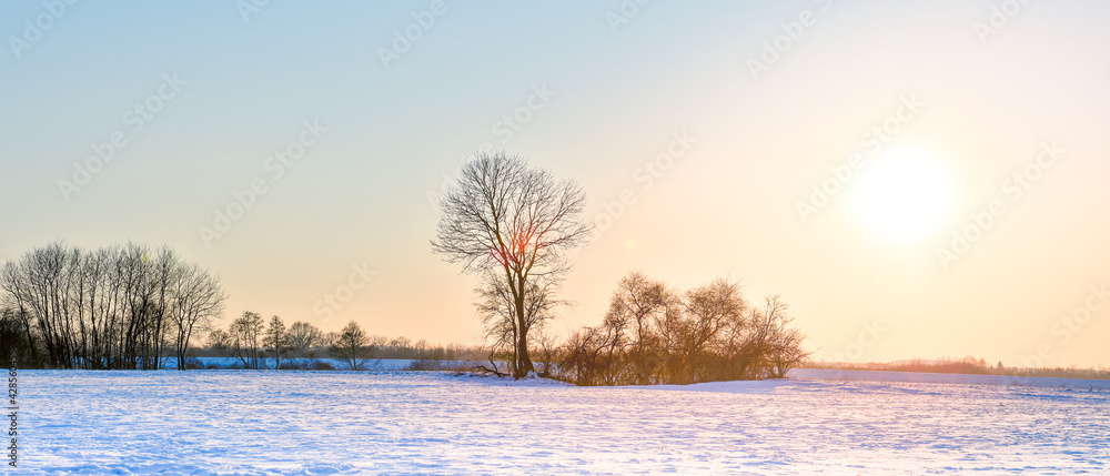 Winter landscape with the sun setting over the horizon. Winter landscape with the sun setting over the horizon.