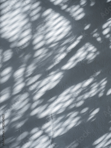 white cement wall with tree shadow