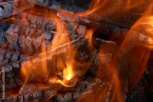 Burning firewood flame, close-up. Fire embers