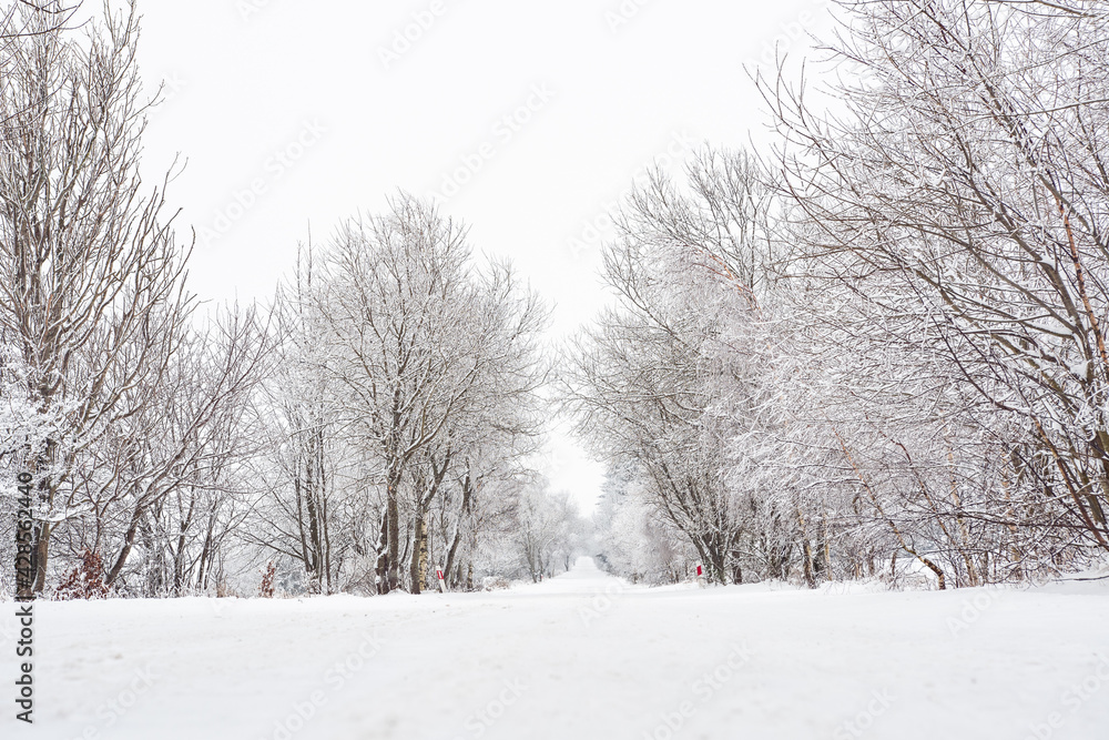 Winter landscape with snow-covered trees on the mountain road. Sudetes covered with white snow. Winter landscape with snow-covered trees on the mountain road. Sudetes covered with white snow.