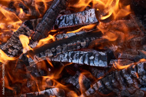 Canvas Print Burning firewood flame, close-up. Fire embers