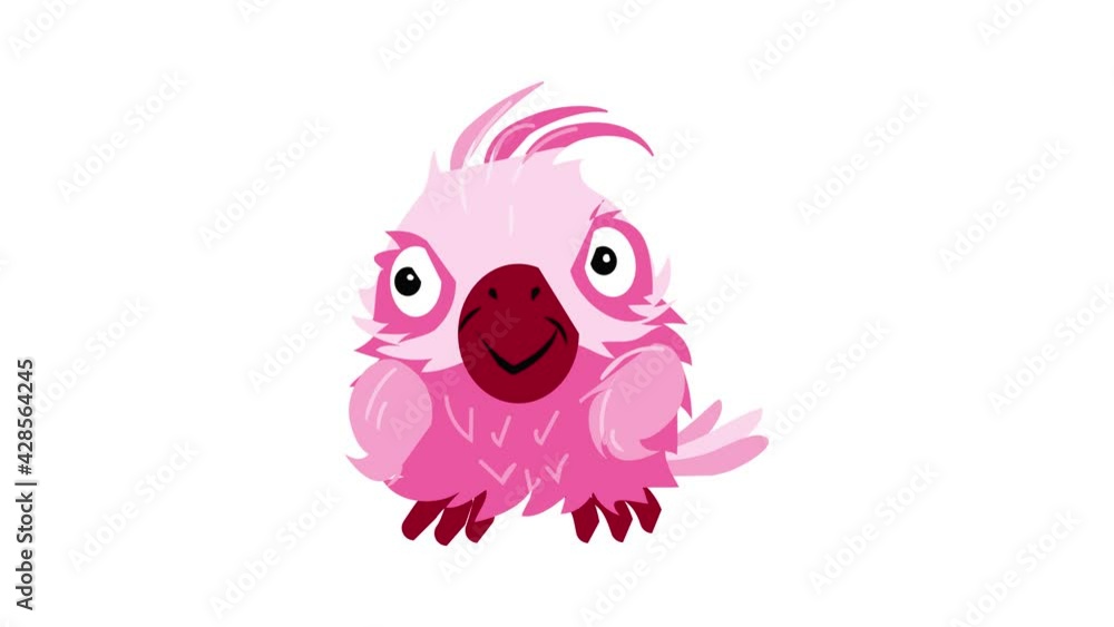 Parrot cockatoo icon animation Parrot cockatoo icon animation