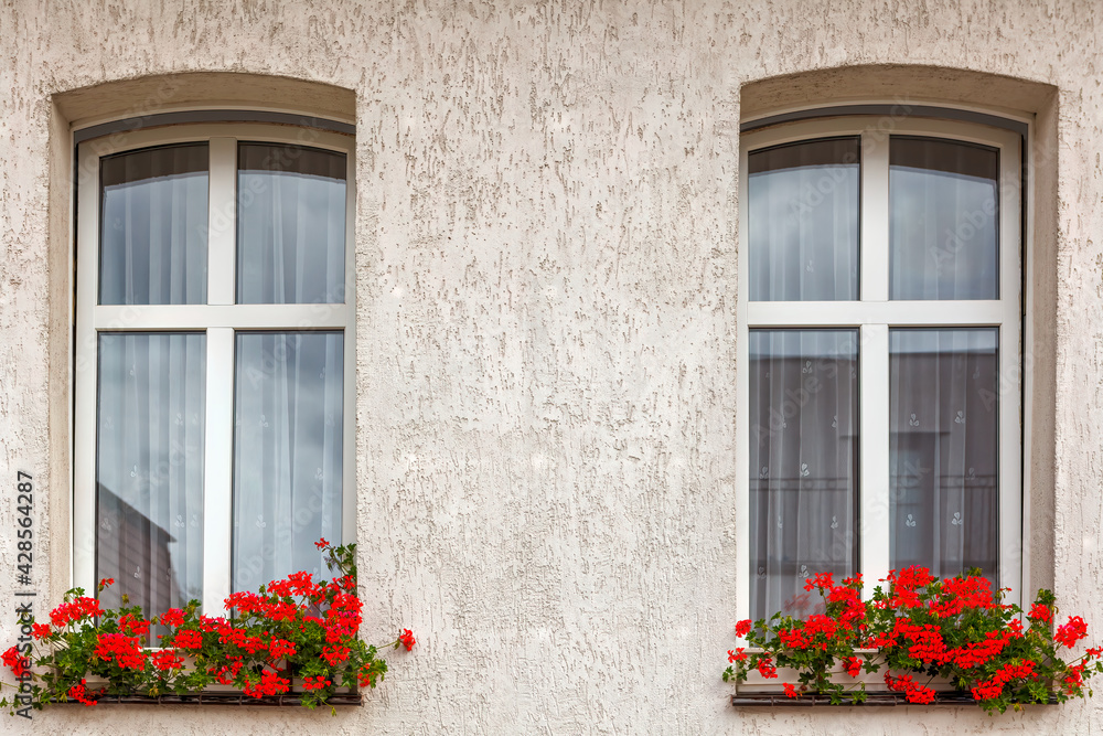 Windows with red flowers