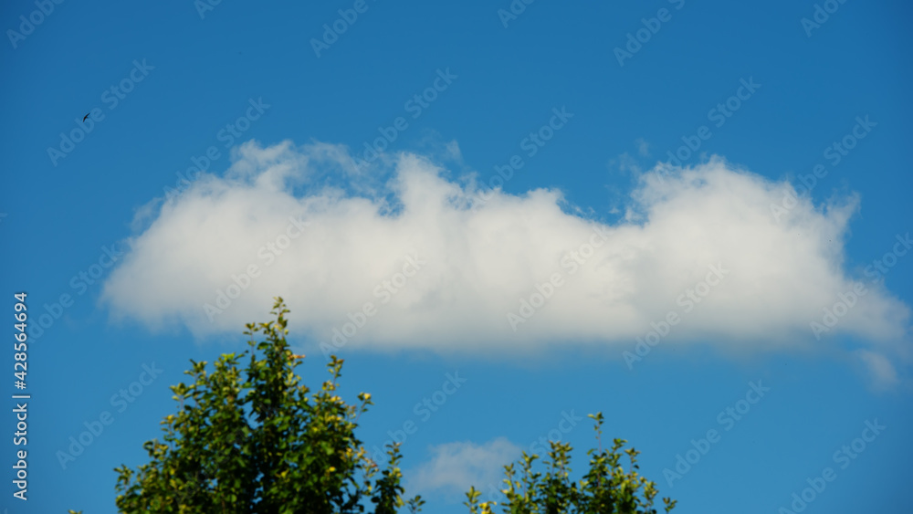 White cloud against the blue sky. White cloud against the blue sky.