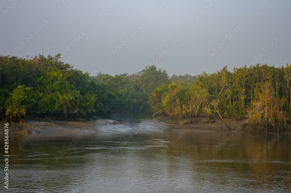 Beautiful morning landscape view of mangrove at low tide in the Sundarbans, a UNESCO World Heritage site, Bangladesh Beautiful morning landscape view of mangrove at low tide in the Sundarbans, a UNESCO World Heritage site, Bangladesh