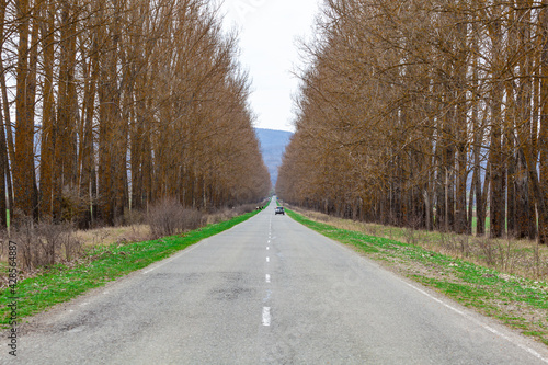 Fototapeta Naklejka Na Ścianę i Meble -  Automobile road among the trees, Georgia