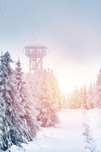 Fototapeta Naklejka Na Ścianę i Meble -  An observation tower above the trees at the top of the Jagodna Mountain.