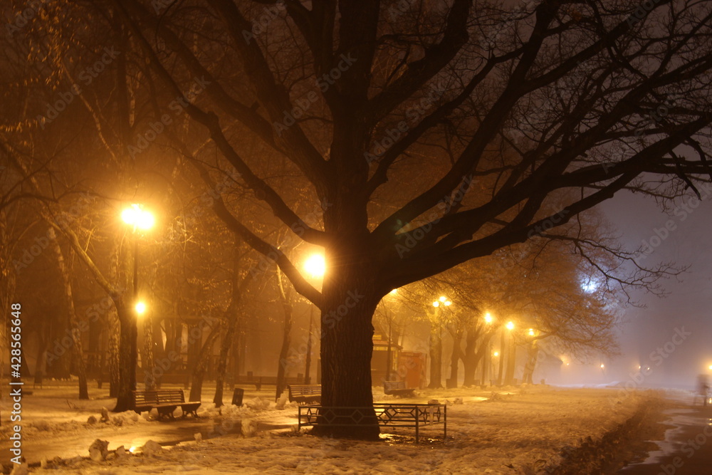 night landscape night landscape