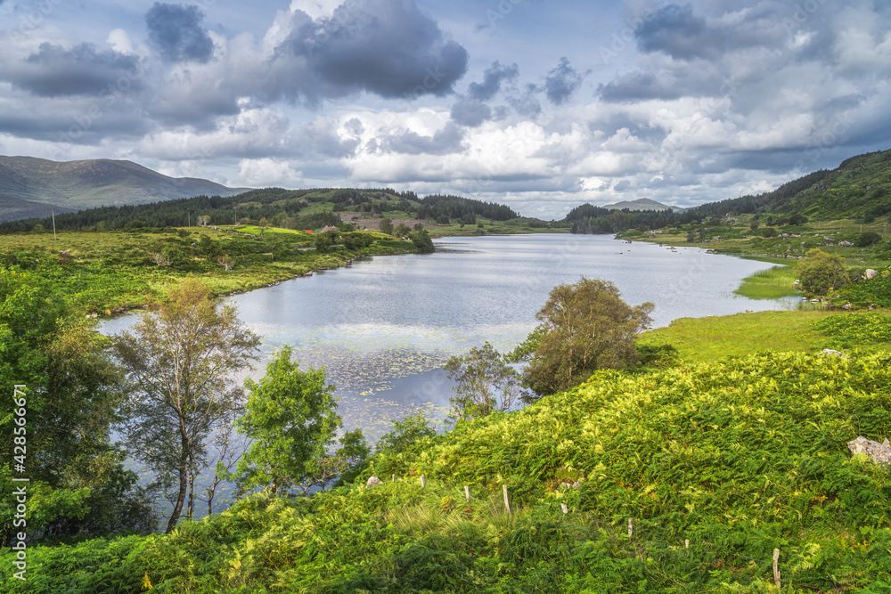 Beautiful lake, Looscaunagh Lough, surrounded by green ferns and hills of Molls Gap in MacGillycuddys Reeks, Ring of Kerry, Ireland