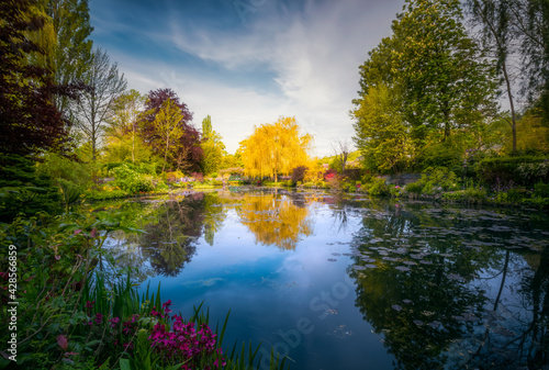 Small pond with lilies and flowers, Vernon, France