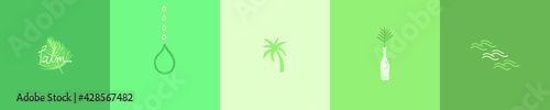 Palm tree symbol, palm leaf sign. Graphics for tropical spa, beauty studio emblem, holiday rentals, tropical cosmetic badge. Drawn tree for travel rehab services. Vector logo design template.