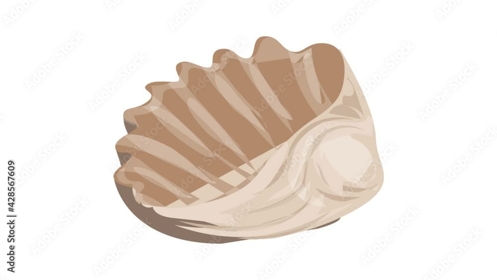 Pearl sea shell icon animation Pearl sea shell icon animation