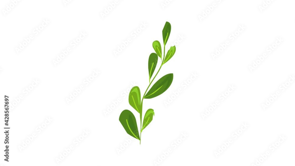 Aquarium laminaria icon animation Aquarium laminaria icon animation
