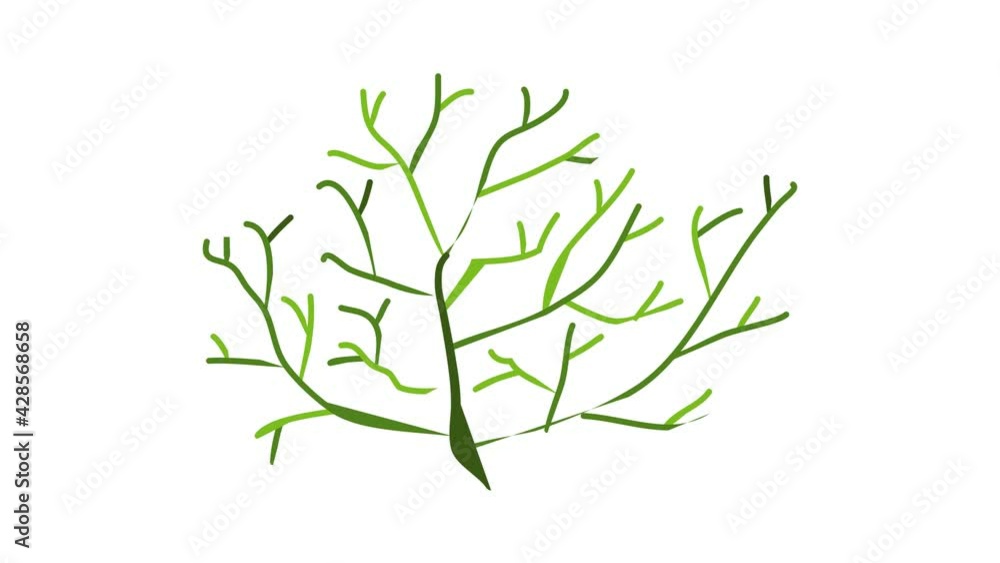 Aquarium thin plant icon animation Aquarium thin plant icon animation