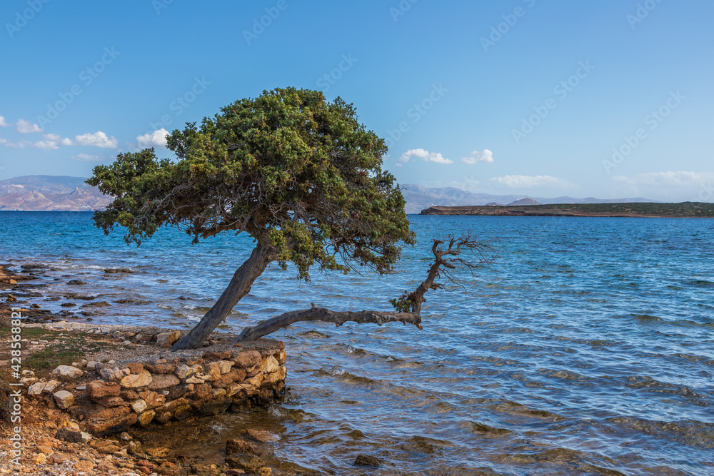 Coast of the island of Paros, Greece.