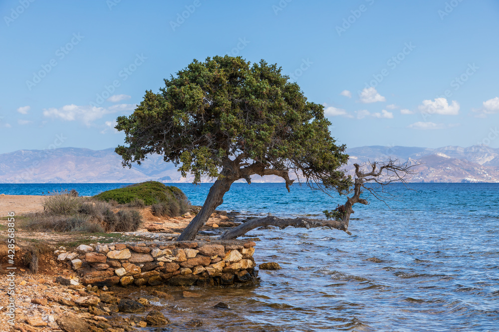 Coast of the island of Paros, Greece. Coast of the island of Paros, Greece.