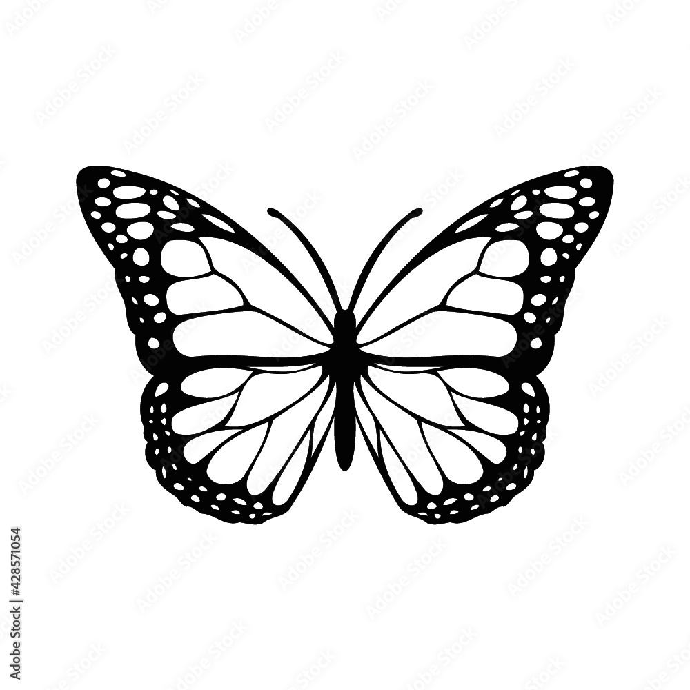 vector black and white butterfly silhouette Stock Vector | Adobe Stock