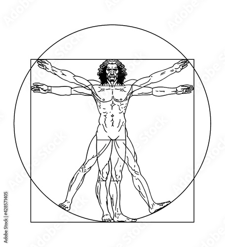 Vector vitruvian man illustration
 photo